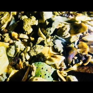 Meet your Posher, Bernard